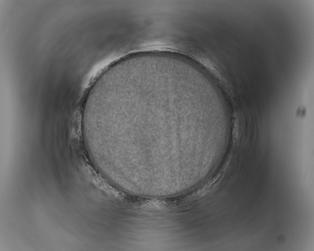 X0000114411358200911061551