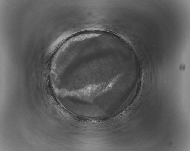 X0000114411359200911061551