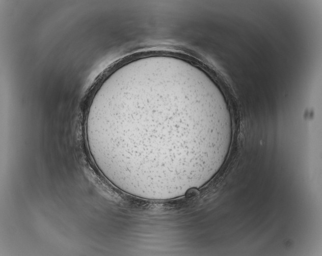 X0000114411360200911061551