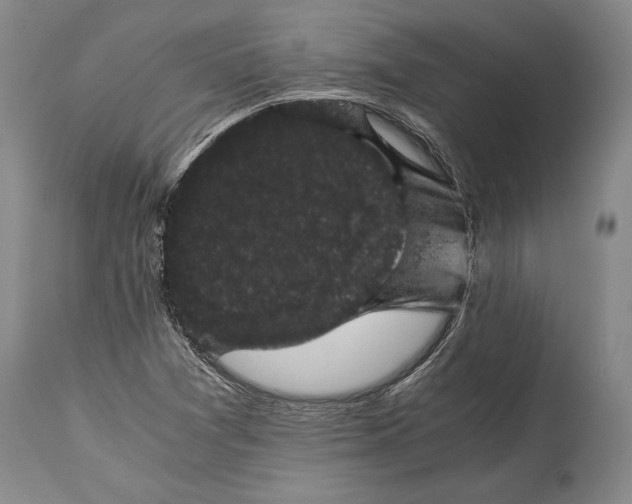 X0000114411361200911061551