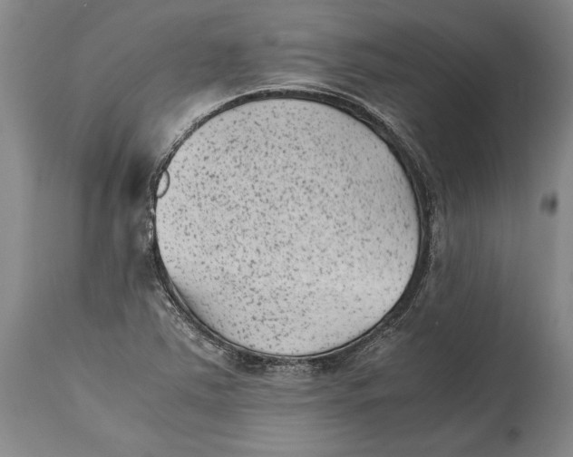 X0000114411363200911061551