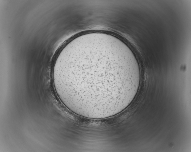 X0000114411364200911061551