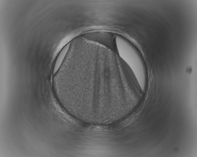 X0000114411365200911061551