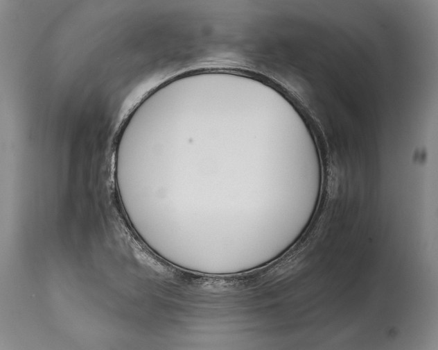 X0000114411366200911061551