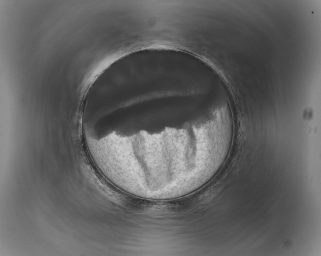 X0000114411367200911061551