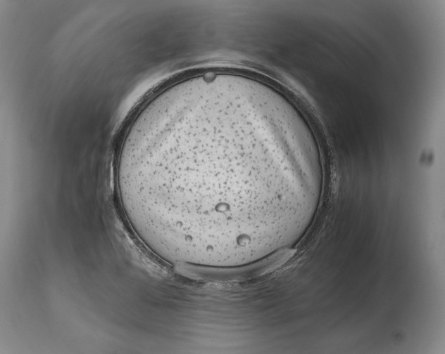 X0000114411368200911061551