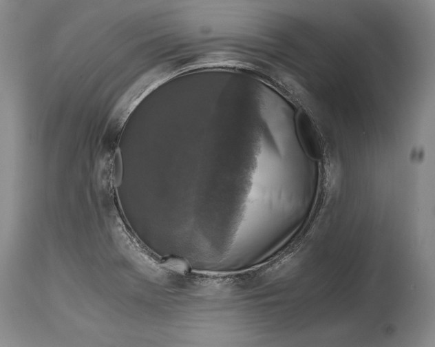 X0000114411369200911061551