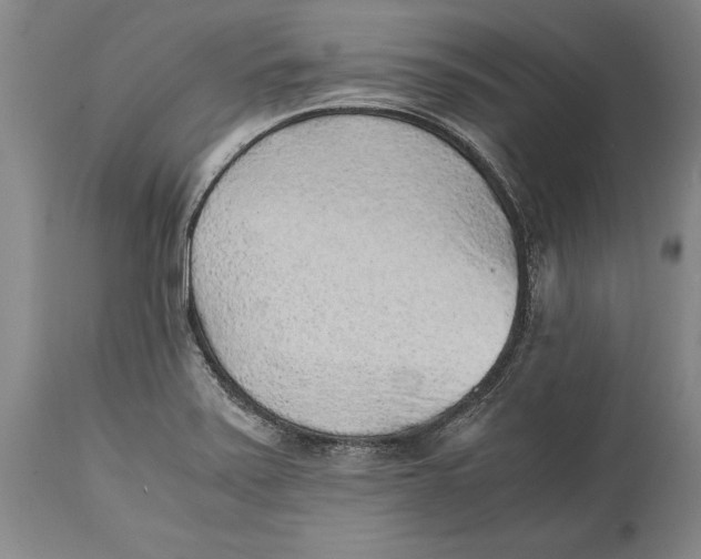 X0000114411371200911061551