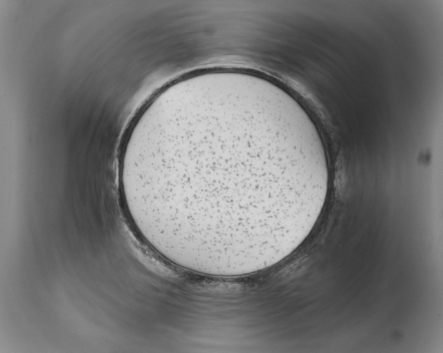 X0000114411372200911061551