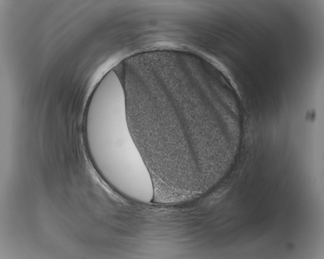 X0000114411373200911061551