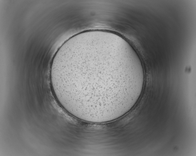 X0000114411374200911061551