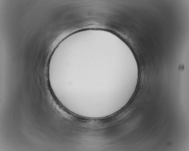 X0000114411375200911061551