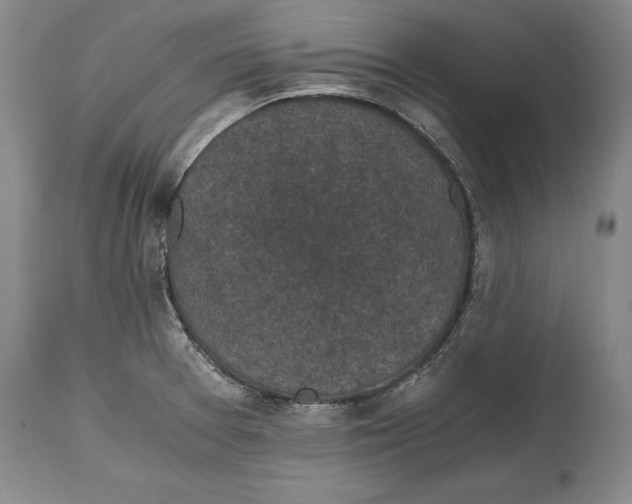 X0000114411377200911061551