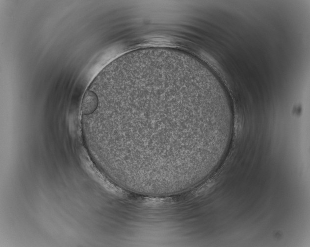 X0000114411378200911061551