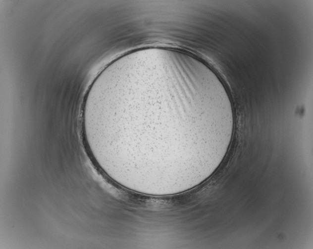 X0000114411379200911061551