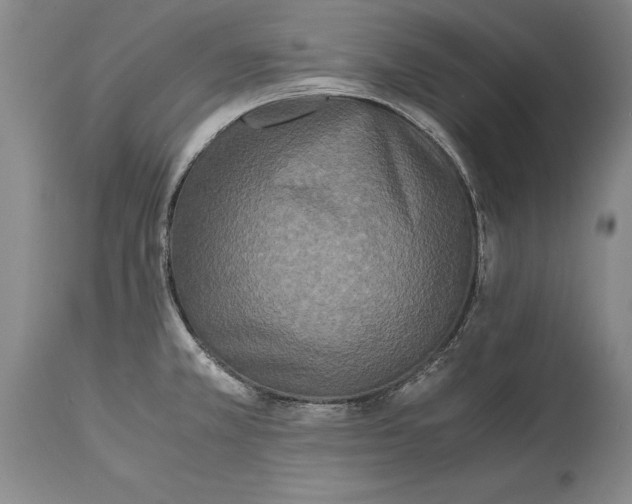 X0000114411381200911061551