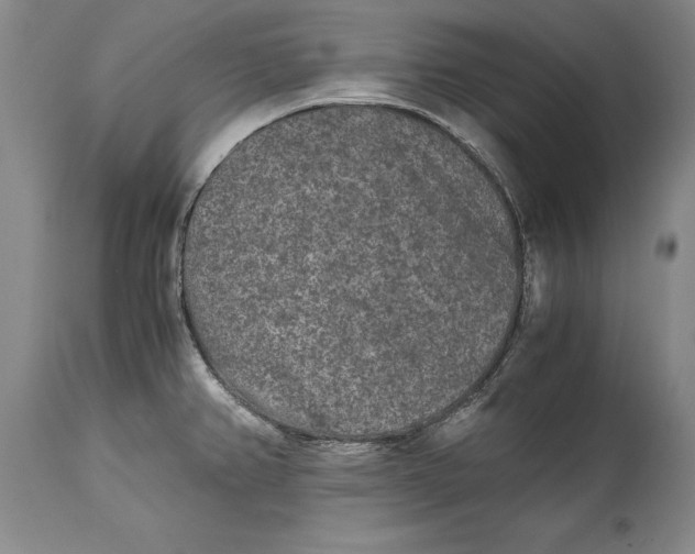 X0000114411382200911061551