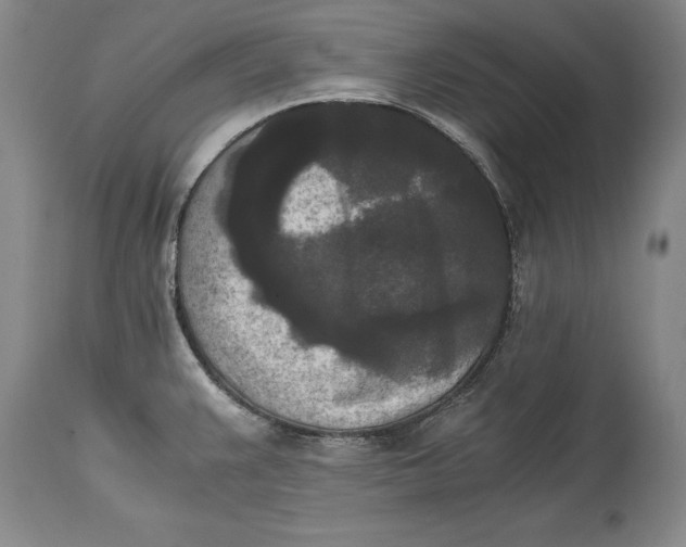 X0000114411383200911061550