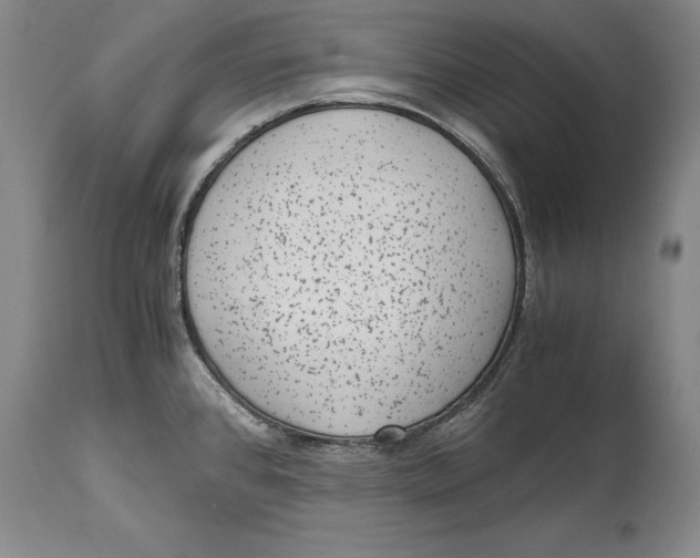 X0000114411384200911061550