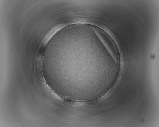 X0000114411385200911061550