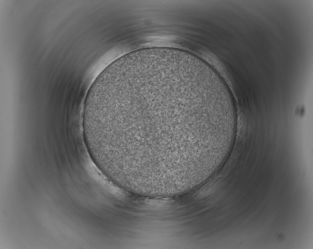 X0000114411386200911061550