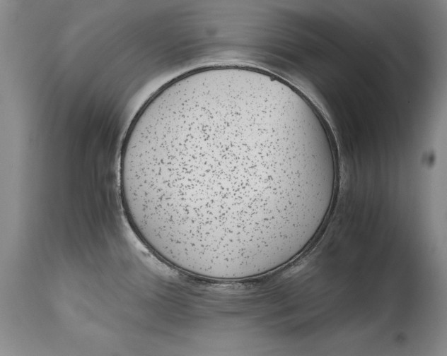 X0000114411388200911061550