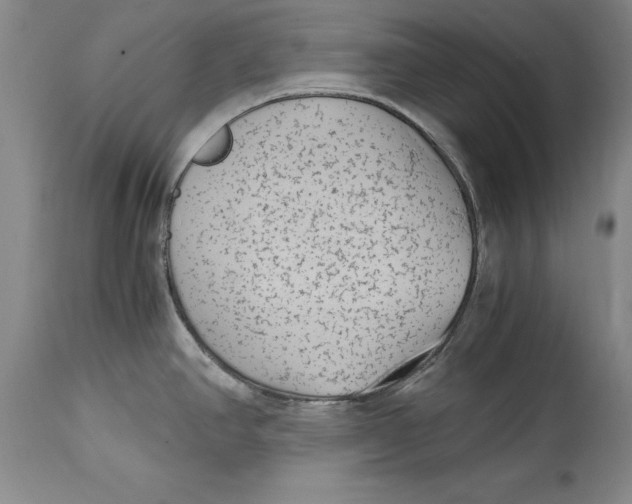 X0000114411390200911061550