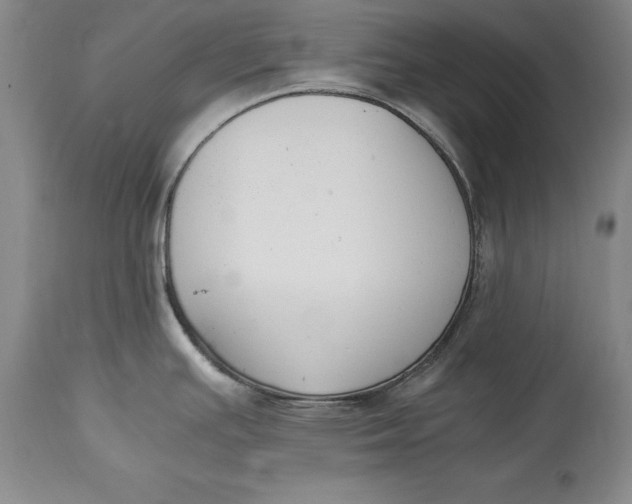 X0000114411391200911061550