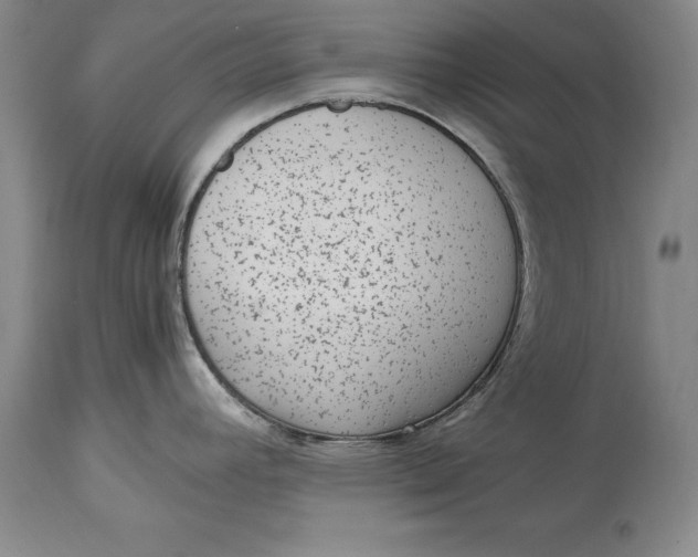 X0000114411392200911061550