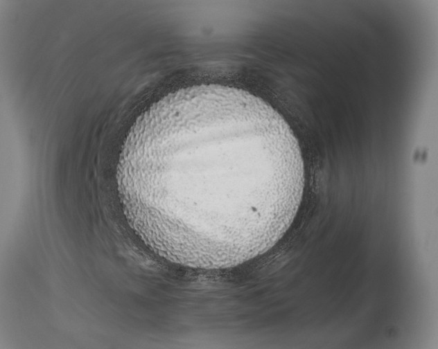 X0000114411393200911061550