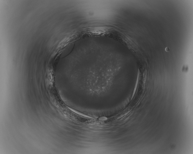 X0000114411394200911061550