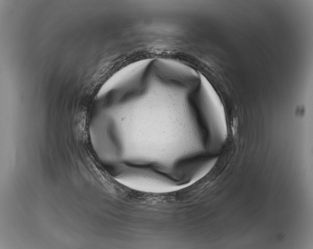 X0000114411396200911061550