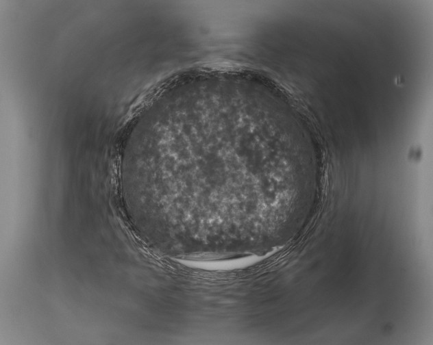 X0000114411397200911061550