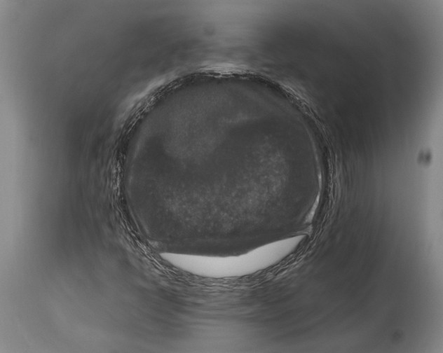 X0000114411398200911061550