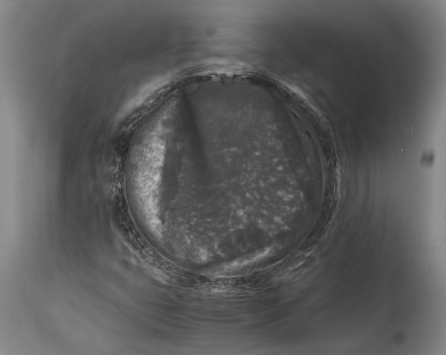 X0000114411399200911061550