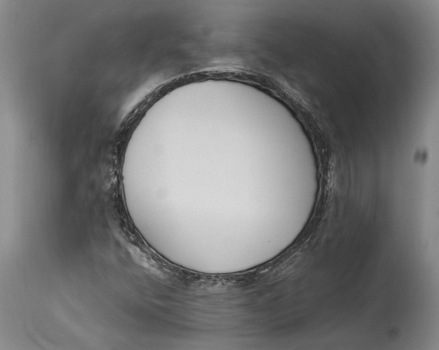 X0000114411400200911061550