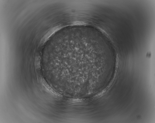 X0000114411401200911061550