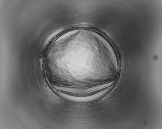 X0000114411402200911061550