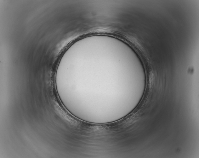 X0000114411404200911061550