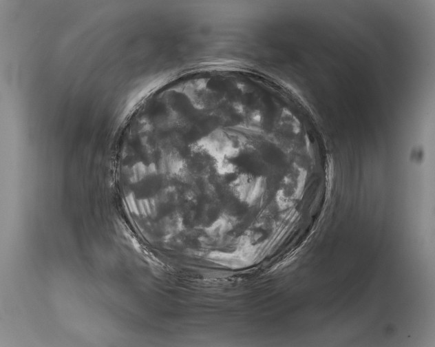 X0000114411405200911061550