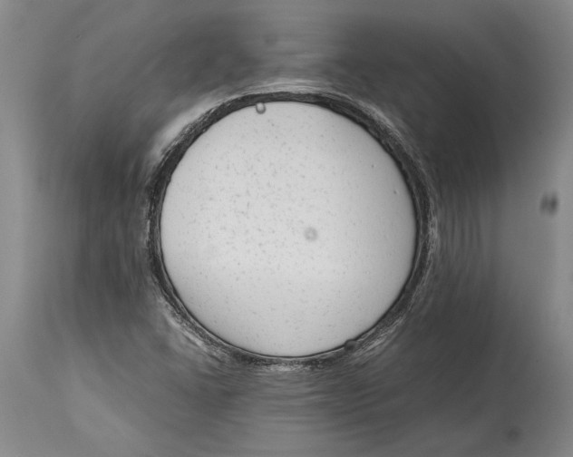 X0000114411406200911061550