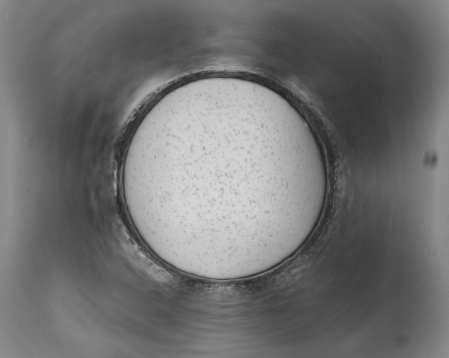 X0000114411408200911061550