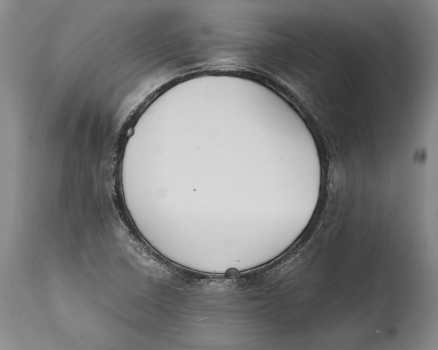 X0000114411410200911061550