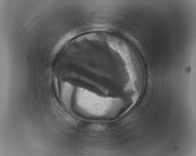 X0000114411411200911061550