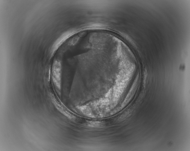 X0000114411413200911061550