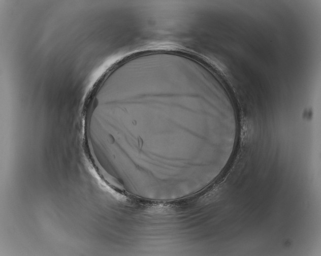 X0000114411414200911061550