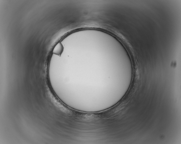 X0000114411416200911061550