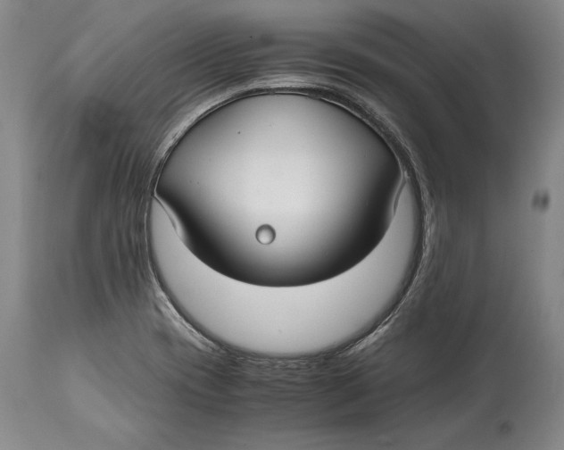 X0000114411417200911061550