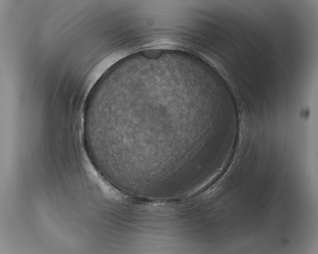 X0000114411418200911061550