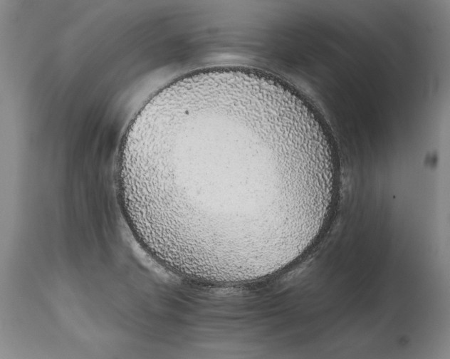 X0000114411421200911061550